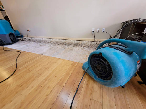Reliable Basement Flood Cleanup contractor in Oak Ridge, NC by Hirex Water Damage