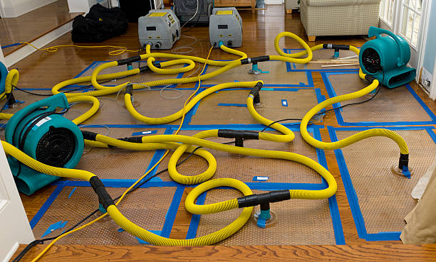 Professional Basement Flood Cleanup technician working in Oak Ridge, NC